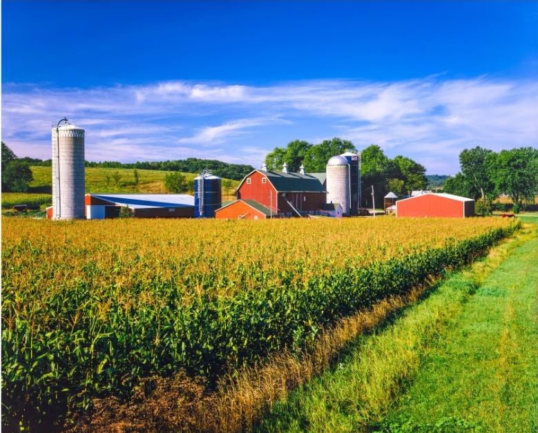 Why Owning a Farm Might Be a Good Investment